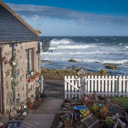 Pew With A View - Seafront Cottages Sandhaven Extérieur photo