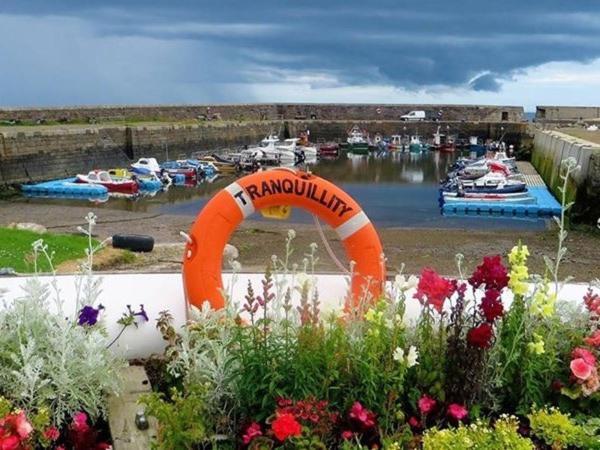 Pew With A View - Seafront Cottages Sandhaven Extérieur photo
